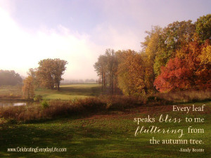 ... Quote, Fall Quote, Autumn Leaves, Celebrating Everyday Life with