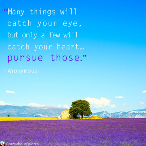 Lavender flowers blooming in Provence, France with quote of the day ...