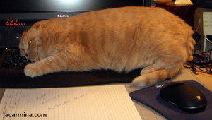 Related Pictures source 370 x 480 23 kb jpeg credited to doblelol