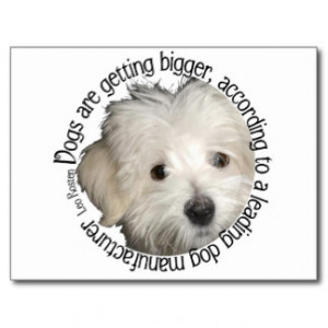 Maltese Wit Wisdom Sayings Quotes Gifts
