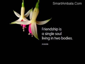 Friendship Is A Single