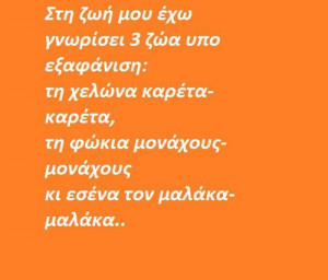 Related Pictures funny greek greek quotes favim com 1320359 jpg