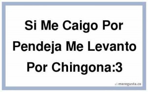 Si Me Caigo Por Pendeja Me Levanto Por Chingona 3