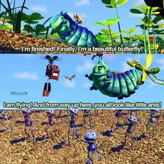 Bugs Life More