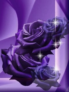 Roses Wallpaper Purple Rose...