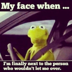 Kermit the frog meme