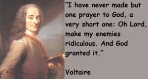 30+ Best Voltaire Quotes