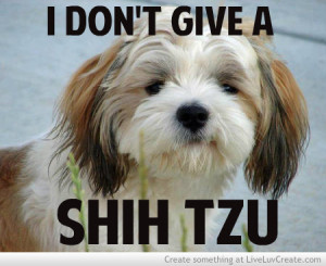 Shih Tzu Funny Quotes