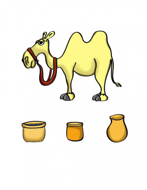 Camel and Water Accessories