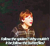 ... Ronald Weasley harryp psgif harry potter quotes ron weasley quotes