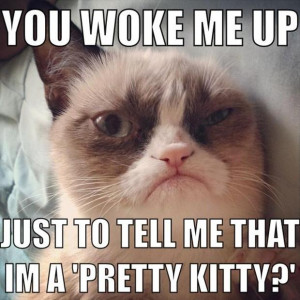 The Best Of Grumpy Cat – 70 Pics