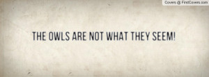 The Owls are not what they seem Profile Facebook Covers