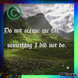 Do Not Accuse Me For Something I Did Not Do - Elarn03
