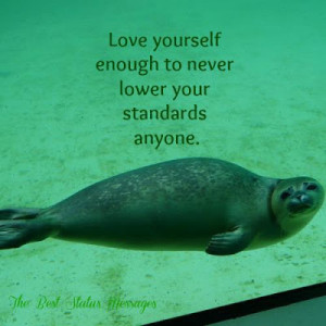 Love yourself enough to never lower your standards anyone.