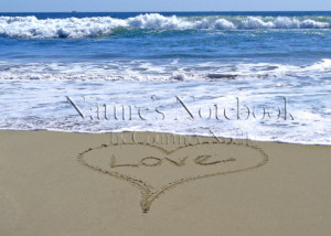 Love Written The Sand Warm