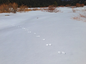 Quotes About Change That Will Help You Cope And Welcome The New