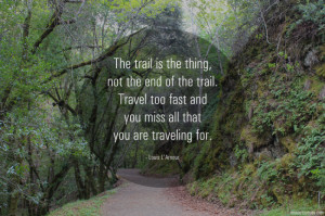 Morning Inspiration: “Travel too fast & miss all that you are ...