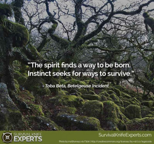 ... spirit finds a way to be born. Instinct seeks for ways to survive