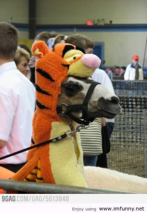 mp lover of good boy good mombassa facebook we know