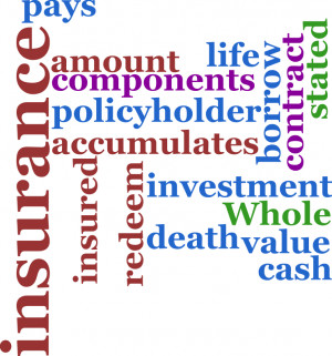 Whole Life Insurance Quotes. QuotesGram