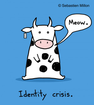 Identity Crisis Cow