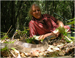 Romulus Whitaker and King Cobra from the Agumbe Website