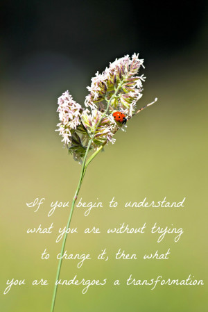 will continue to live a healthy lifestyle.