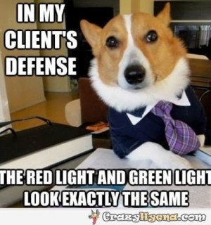 dog-lawyer-funny-photo.jpg