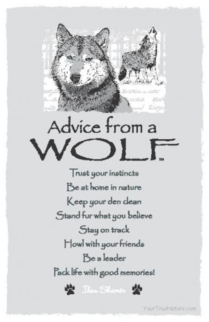 Advice From a Wolf ~:By Ilan Shamir ☆