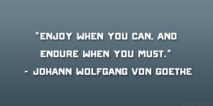 Enjoy when you can, and endure when you must.” – Johann Wolfgang ...