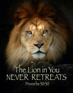 ... righteous are as BOLD, BRAVE and COURAGUEOUS as a Lion. Proverbs 28:1