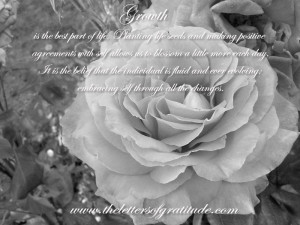New Quote Photos from The Letters Of Gratitude