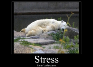 funny-stress-poster1
