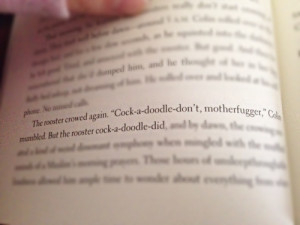 an abundance of katherine quotes