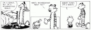 Calvin and Hobbes, 7 September 1993, Copyright Bill Watterson