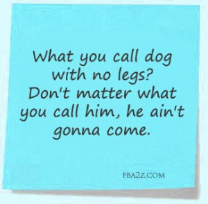 What do you call a dog with no legs...