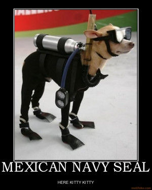 Funny Navy photos and funny Navy pictures