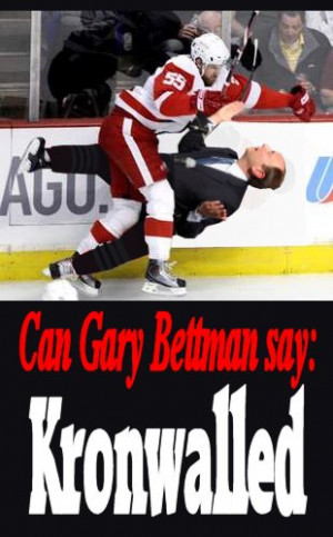 Funny Red Wings pictures.