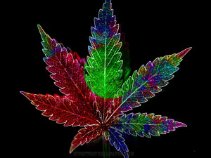 Psychadelic Weed Leaf that is simply trippy to look at for too long ...