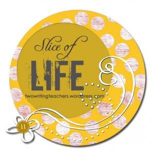 steinbergh paul janeczko s looking for your name a collection of ...