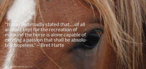 fyi horsemeat is deadly to humans ann m marini ph d wild horses as ...