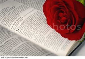 Red rose on open Bible