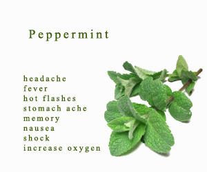 doTERRA Peppermint Essential Oil