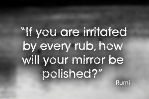 If you are irritated by every rub, how will your mirror be polished ...