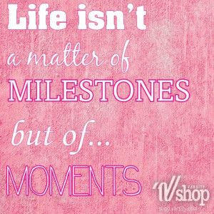 Life isn't a matter of milestones but of...MOMENTS.