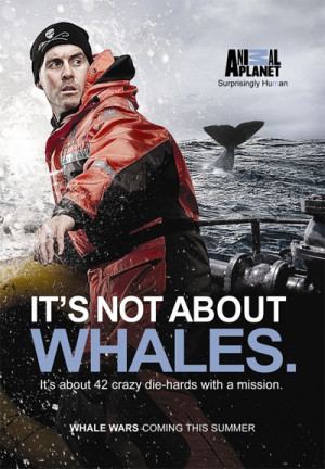 Whale Wars Season 3 Premieres During Pete Bethune Trial (Video)