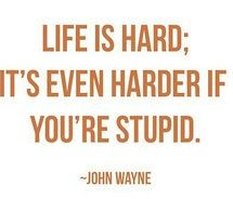 Popular favorite pictures on VisualizeUs