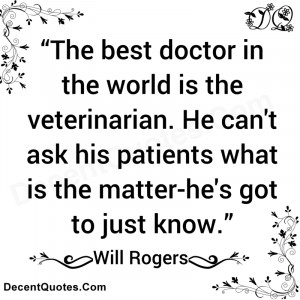 the best doctor in the world is the veterinarian he can t ask his ...