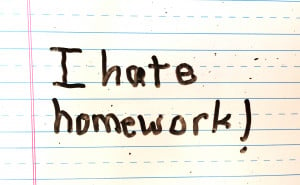hate homework copy