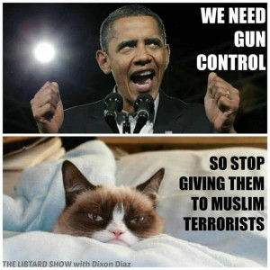 ... grumpy cat. I don't like grumpy cat, but this time he's right on
